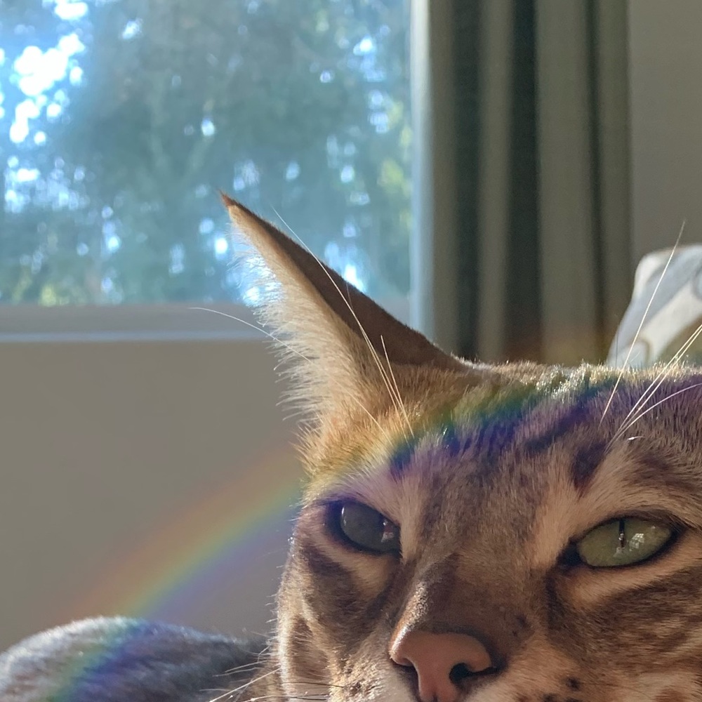 Meet your Posher, Eve